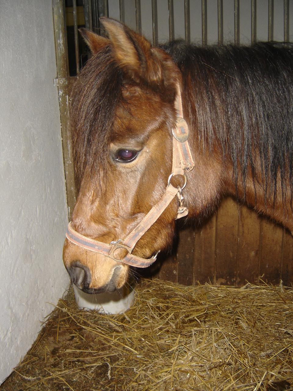 DSC09021.JPG